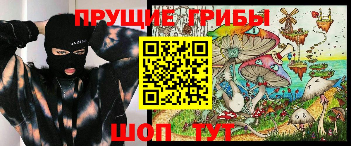 Псилоцибиновые грибы Psilocybe  Вход с VPN  Галлюциногенные грибы MAGIC MUSHROOMS  Карталы 